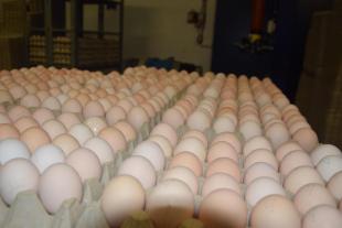 B9712774150Z_1_20170802154421_000+GTK9HPT8H_1-0